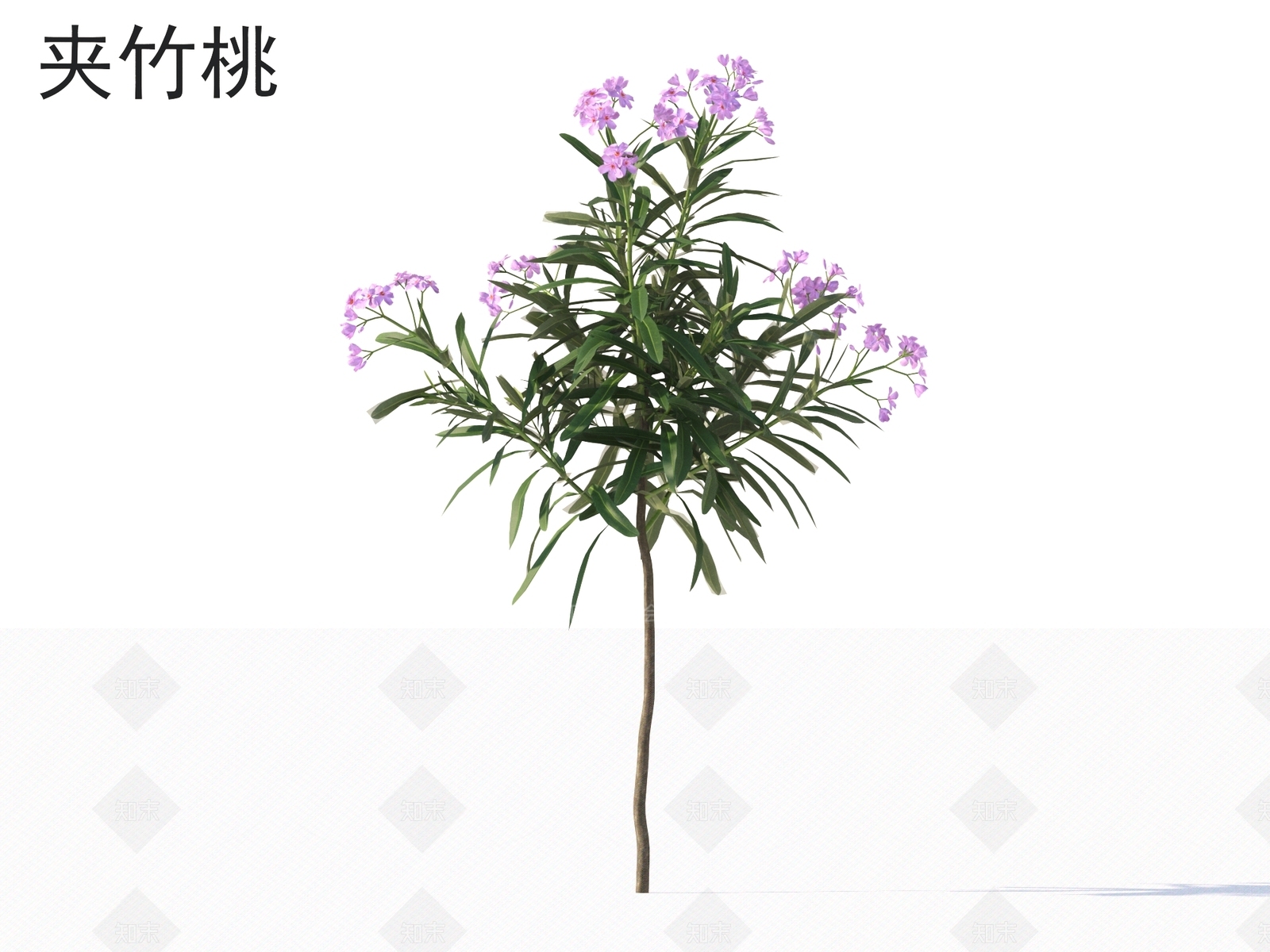 灌木3D模型下载【ID:1167422664】