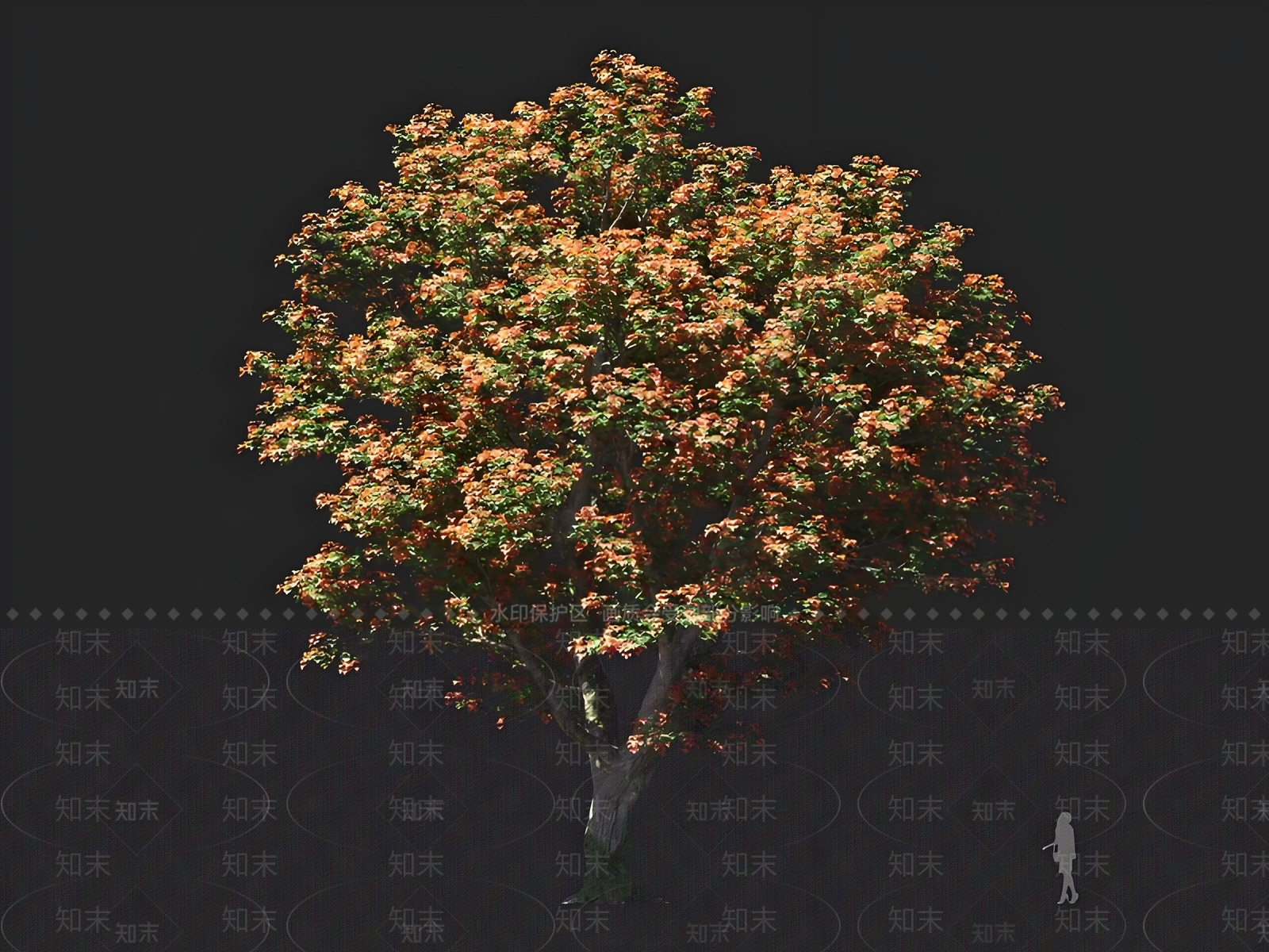 景观树3D模型下载【ID:1167442921】