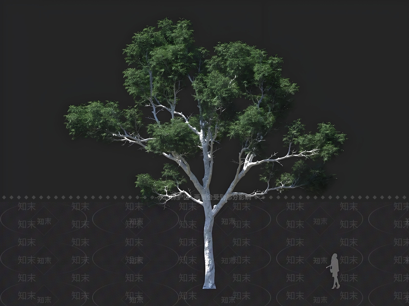 景观树3D模型下载【ID:1167443434】