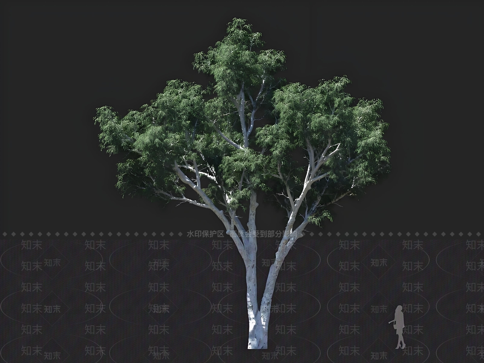 景观树3D模型下载【ID:1167443564】