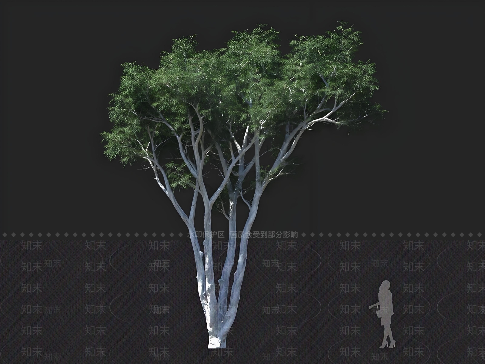 乔木3D模型下载【ID:1167443895】