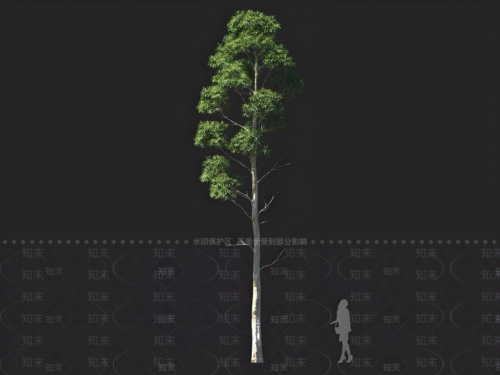 乔木3D模型下载【ID:1167446608】