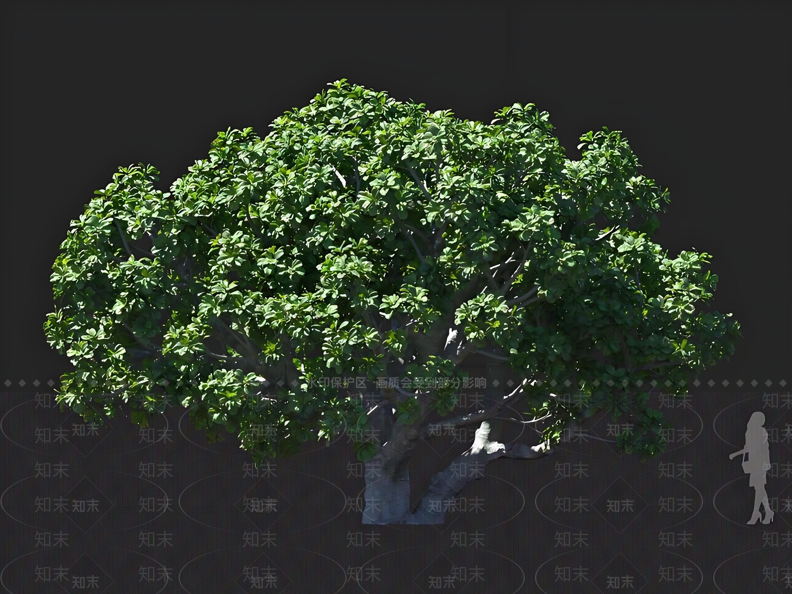 乔木3D模型下载【ID:1167447382】