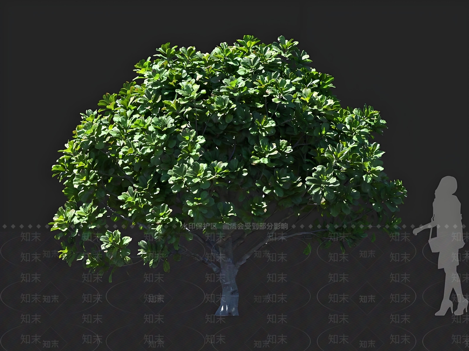 乔木3D模型下载【ID:1167447523】