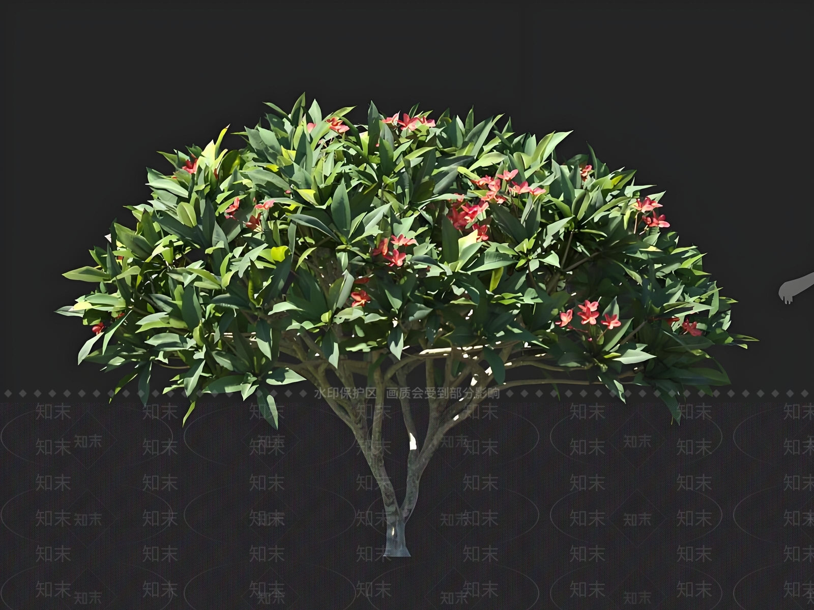 乔木3D模型下载【ID:1167450252】
