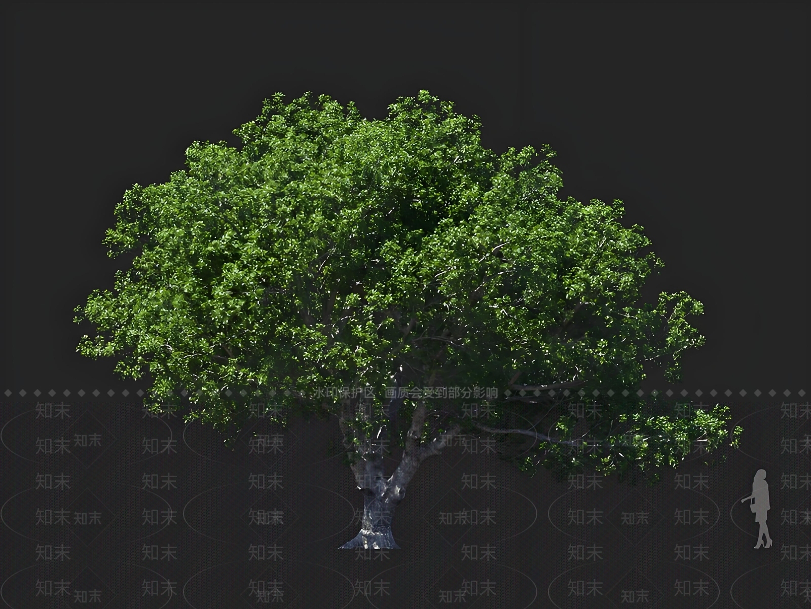 乔木3D模型下载【ID:1167450424】