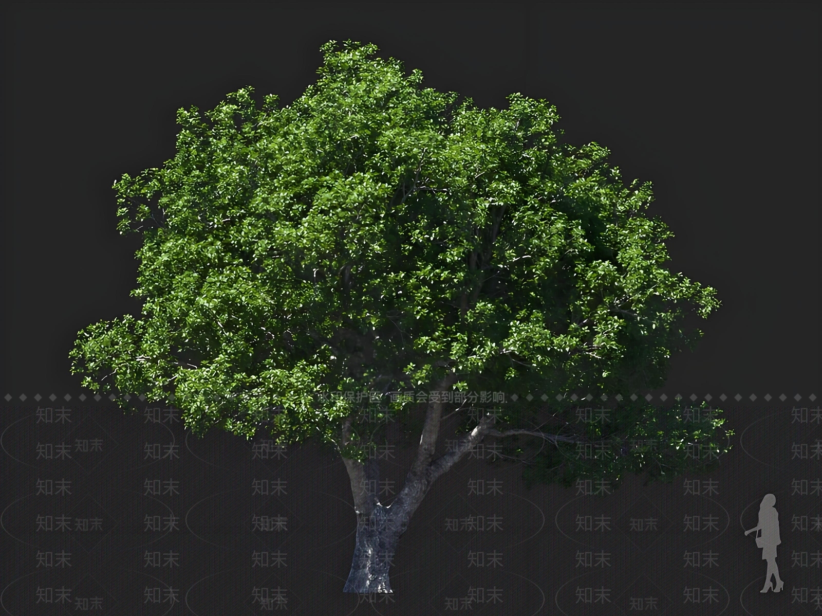 景观树3D模型下载【ID:1167450533】