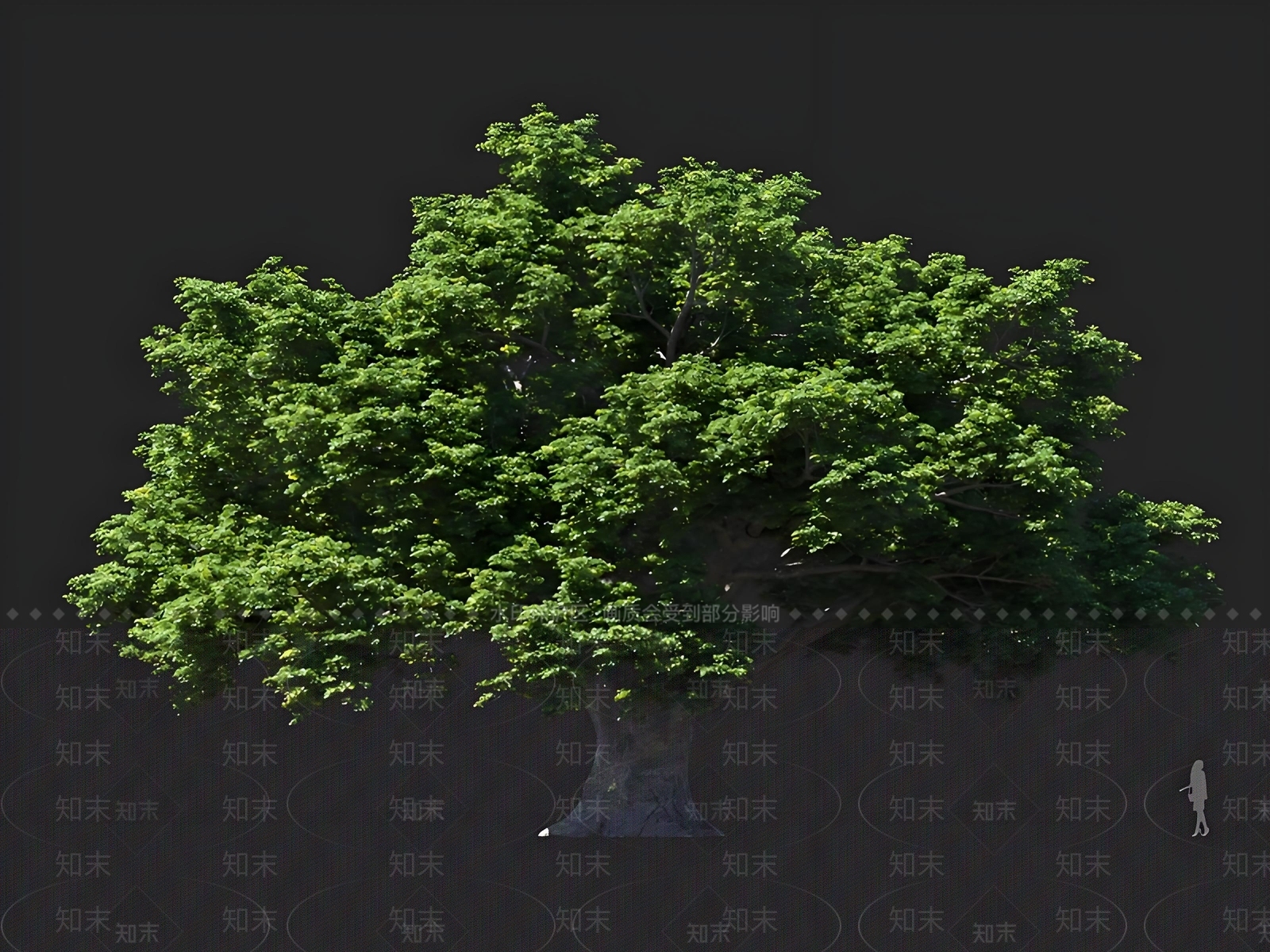 乔木3D模型下载【ID:1167452921】