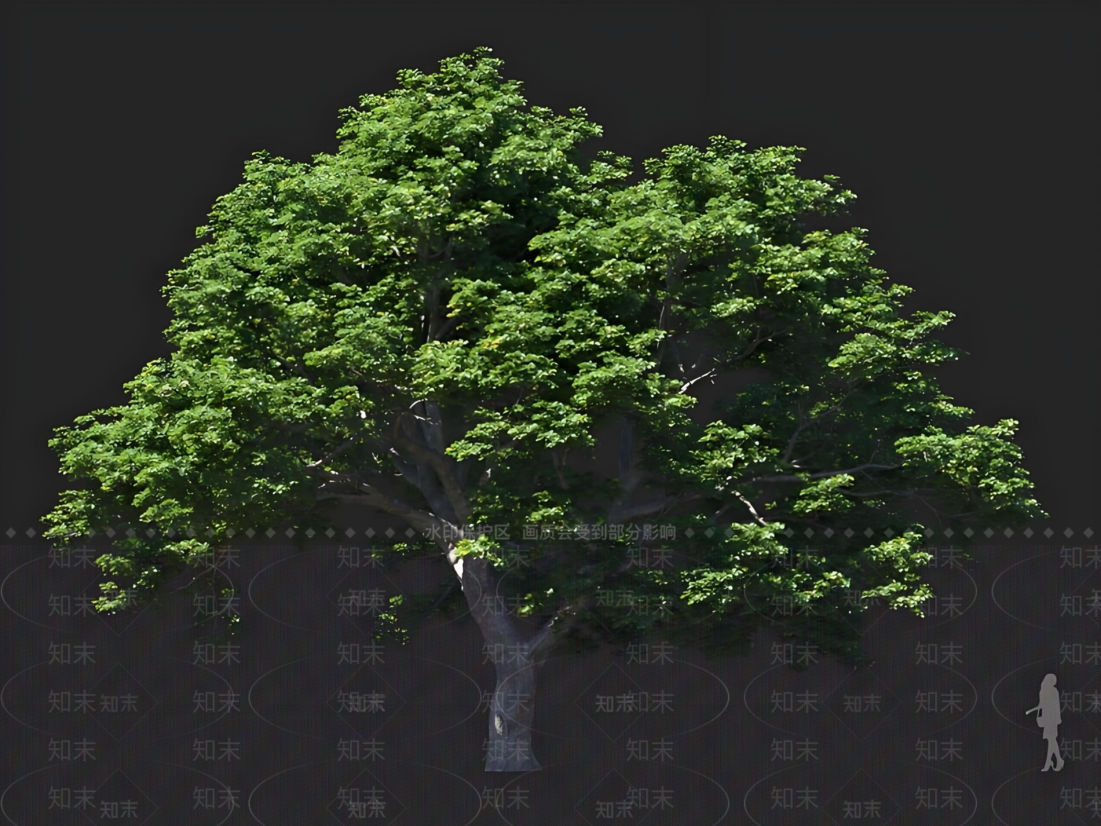 乔木3D模型下载【ID:1167453206】