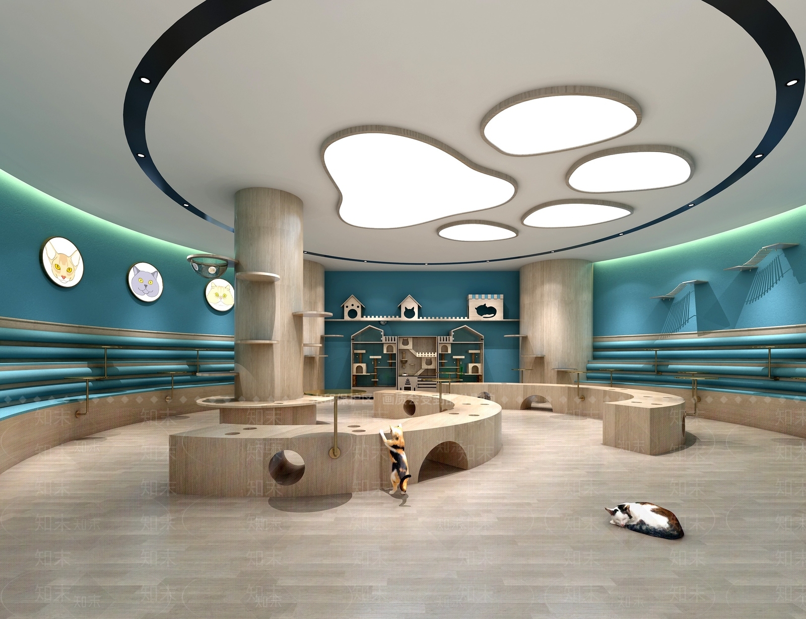 现代宠物店3D模型下载【ID:1167457692】