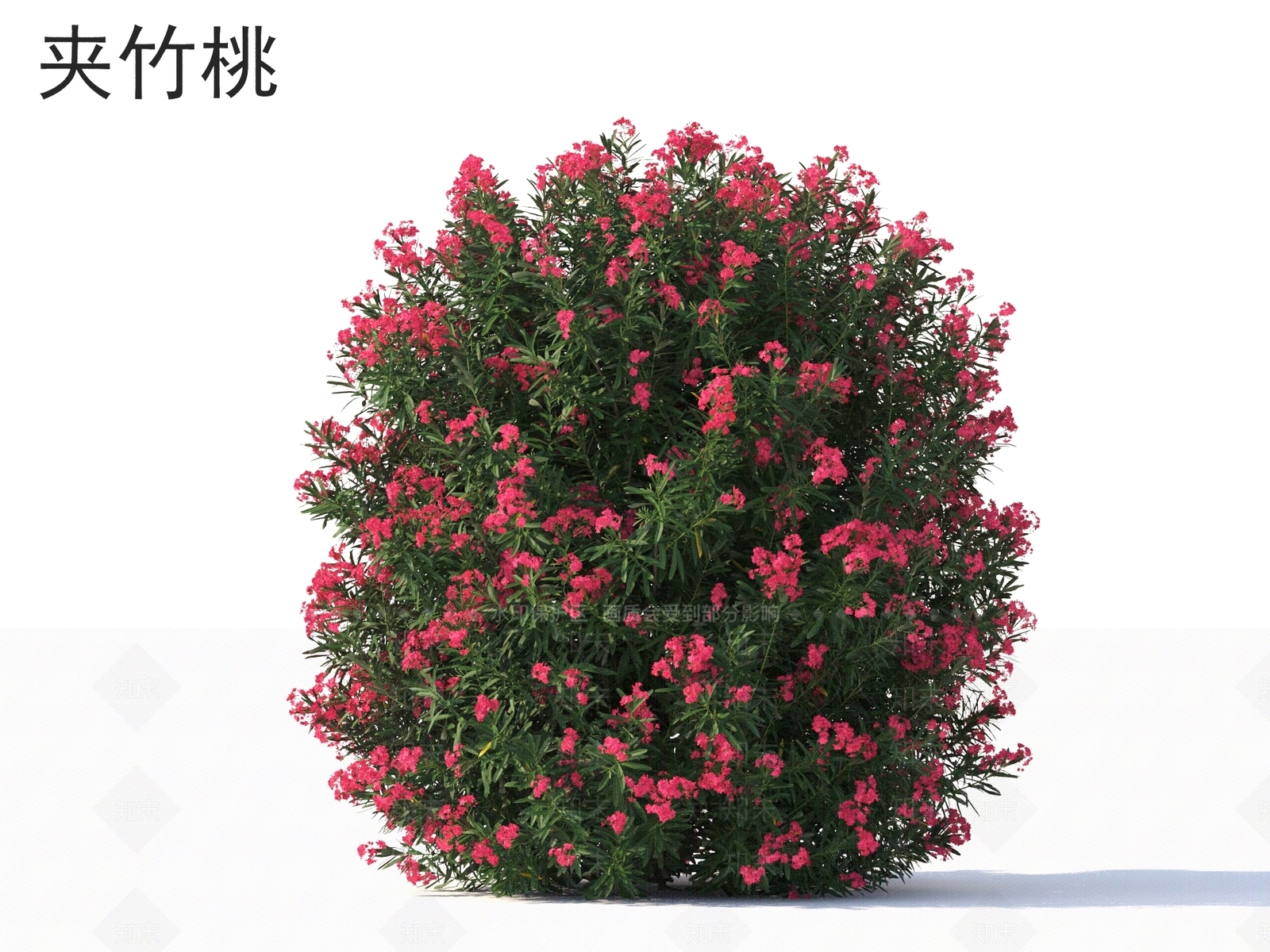 灌木3D模型下载【ID:1167459516】