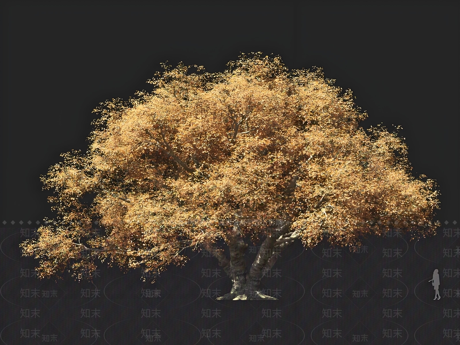 乔木3D模型下载【ID:1167468379】