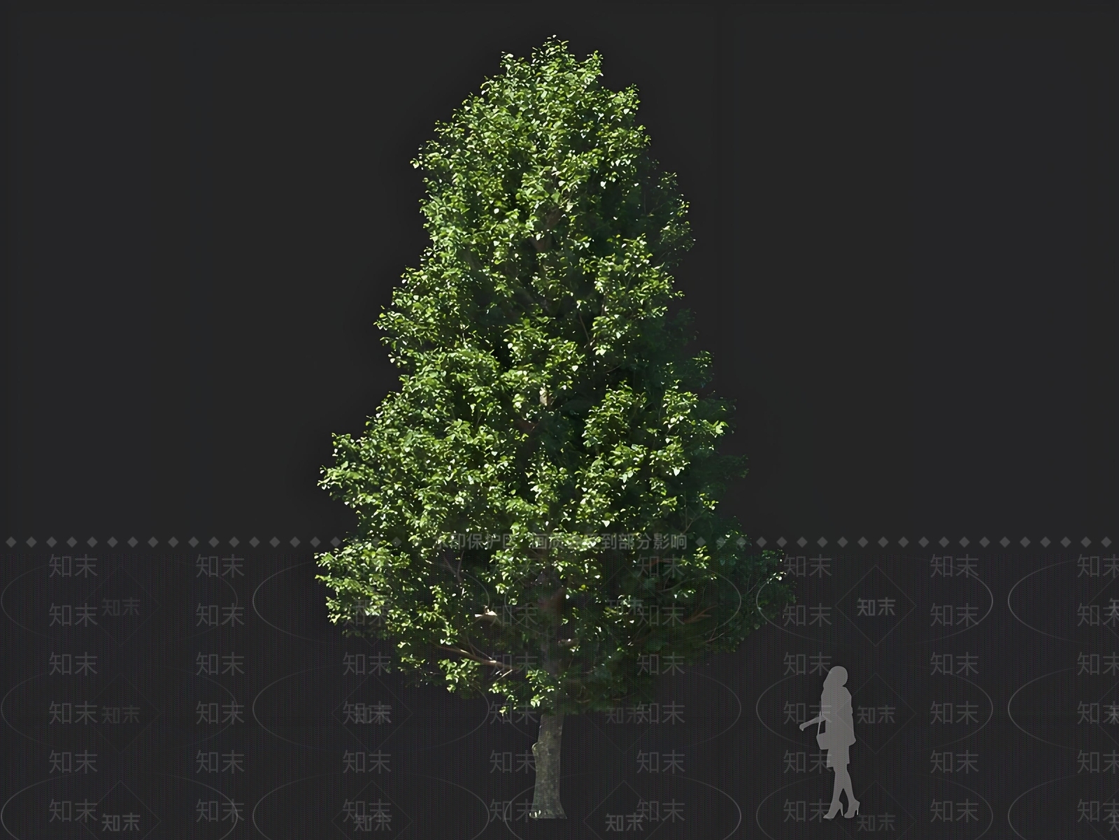 乔木3D模型下载【ID:1167470214】