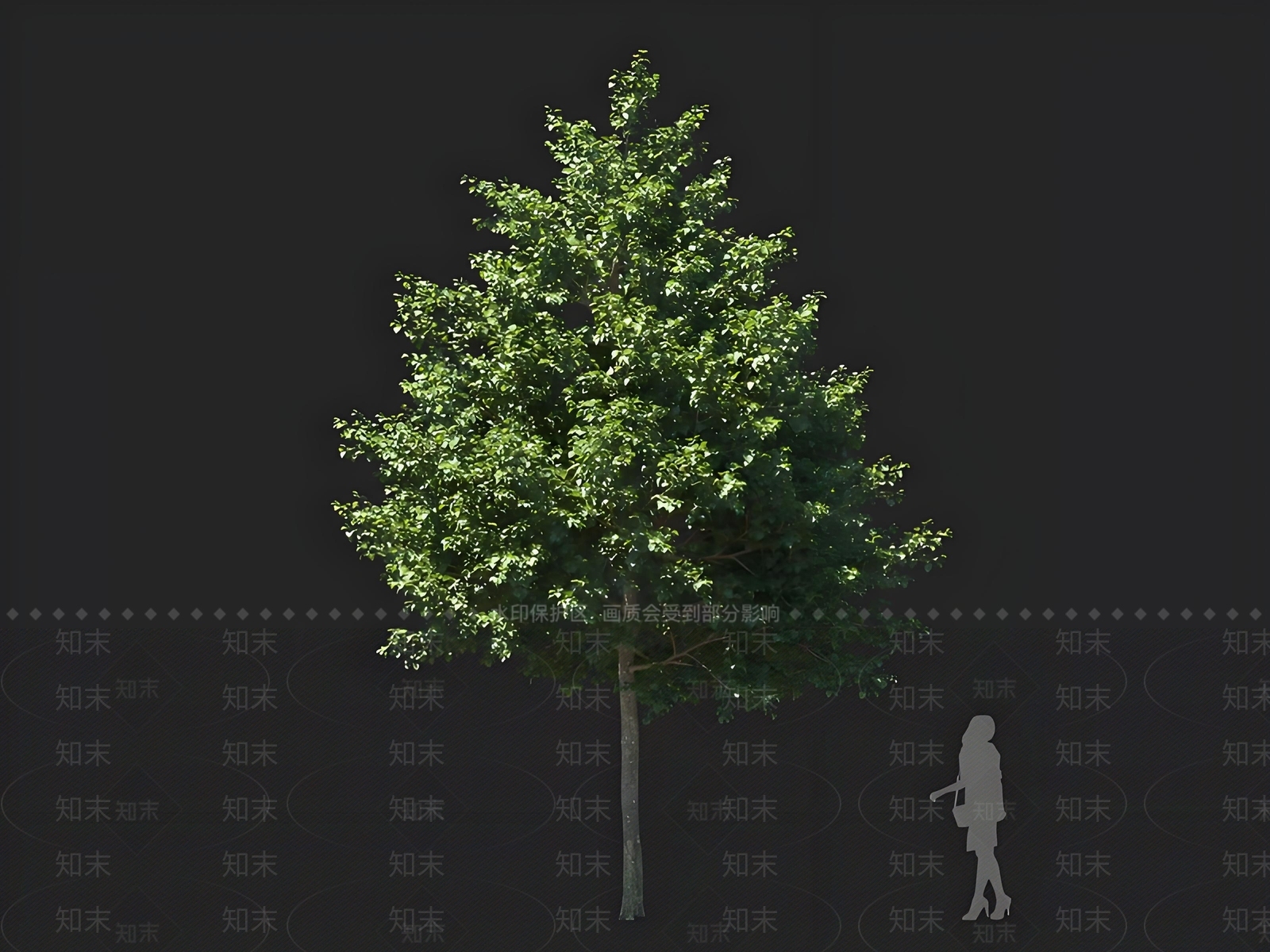 乔木3D模型下载【ID:1167470470】