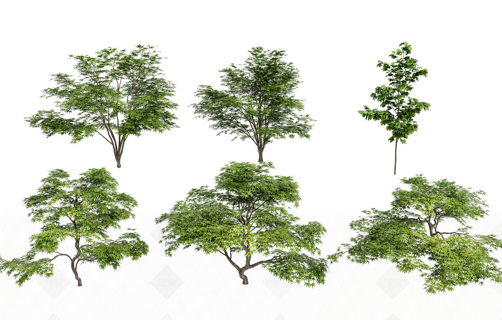 乔木3D模型下载【ID:1167511922】