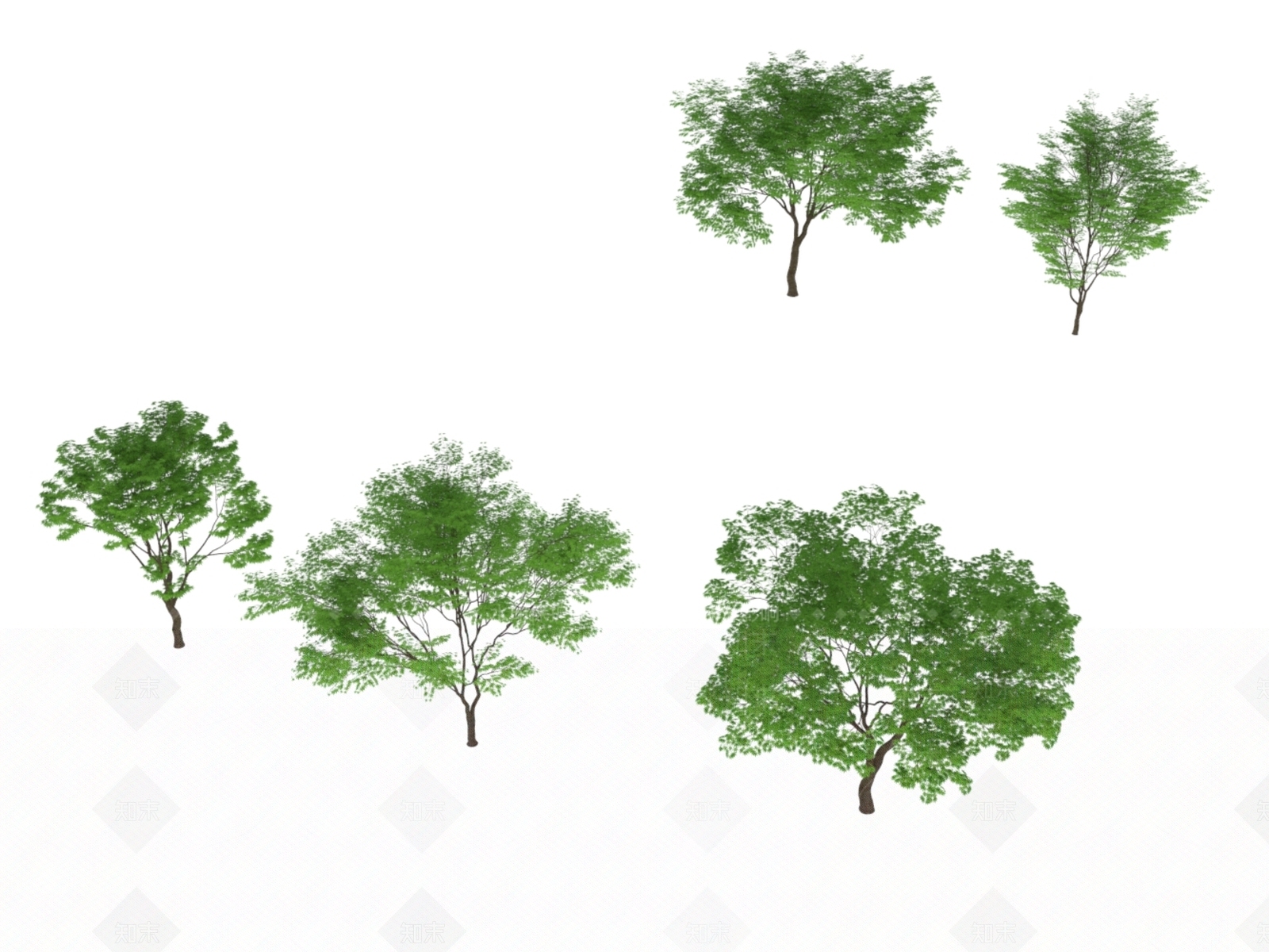 现代景观树3D模型下载【ID:1167569481】
