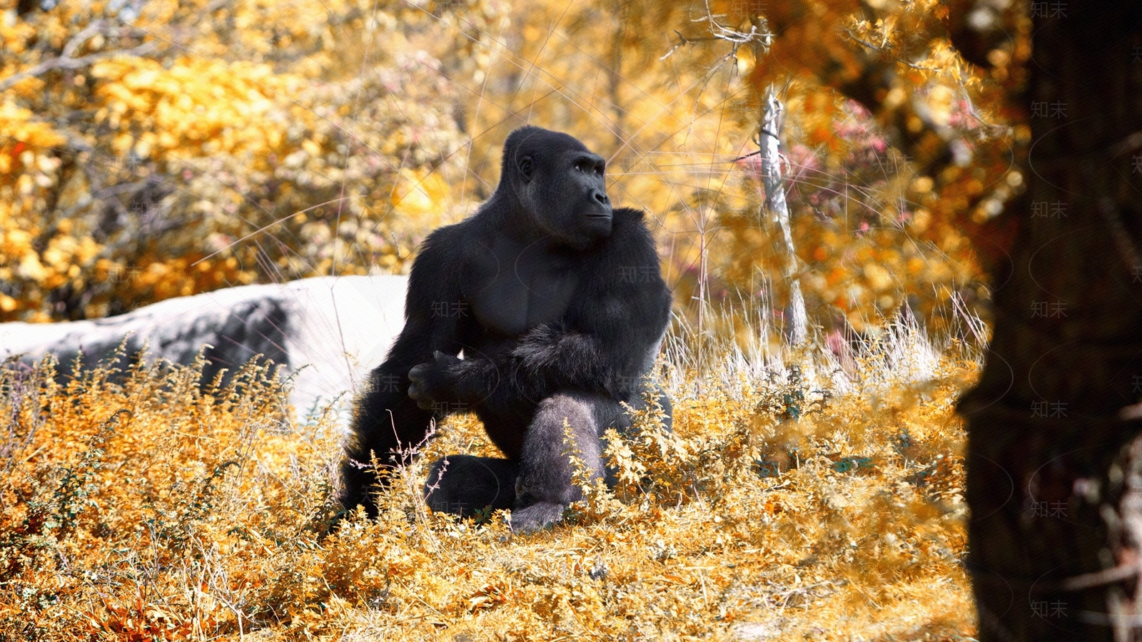 欧式壁纸贴图下载【ID:1167592834】