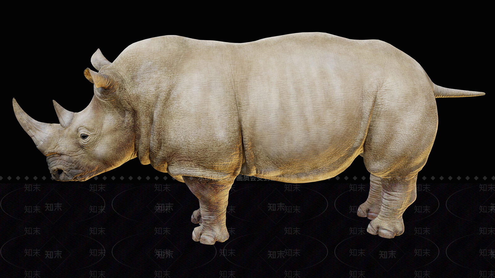 爬行类动物3D模型下载【ID:1167611875】