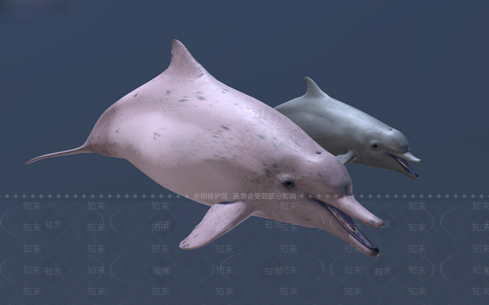 水生类动物3D模型下载【ID:1167629290】
