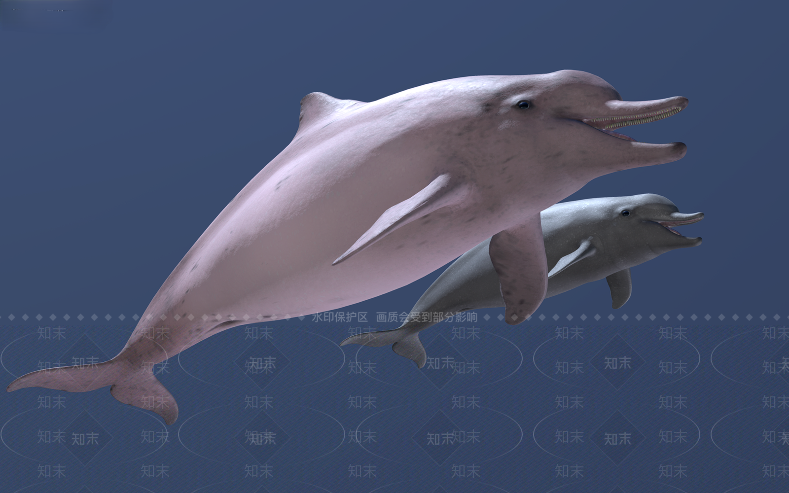水生类动物3D模型下载【ID:1167629290】