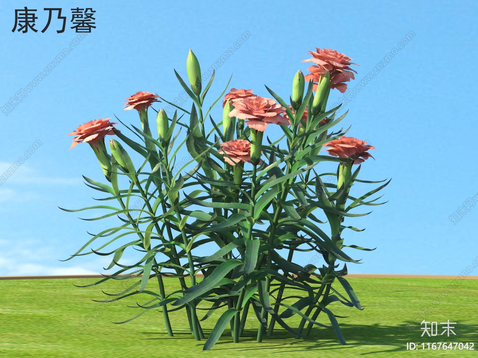 花3D模型下载【ID:1167647042】