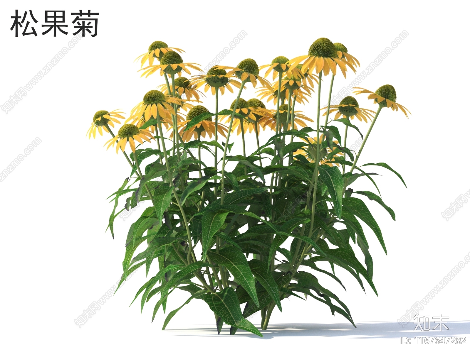 花3D模型下载【ID:1167647282】