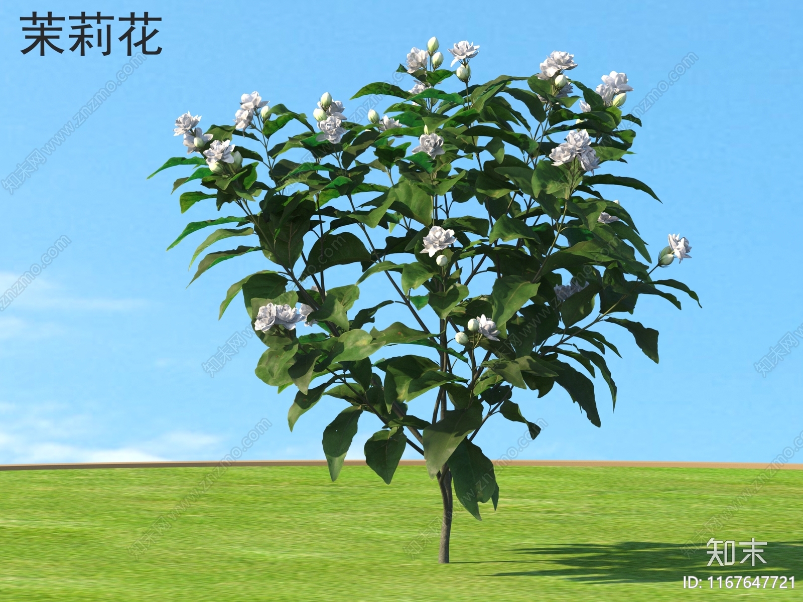 花3D模型下载【ID:1167647721】