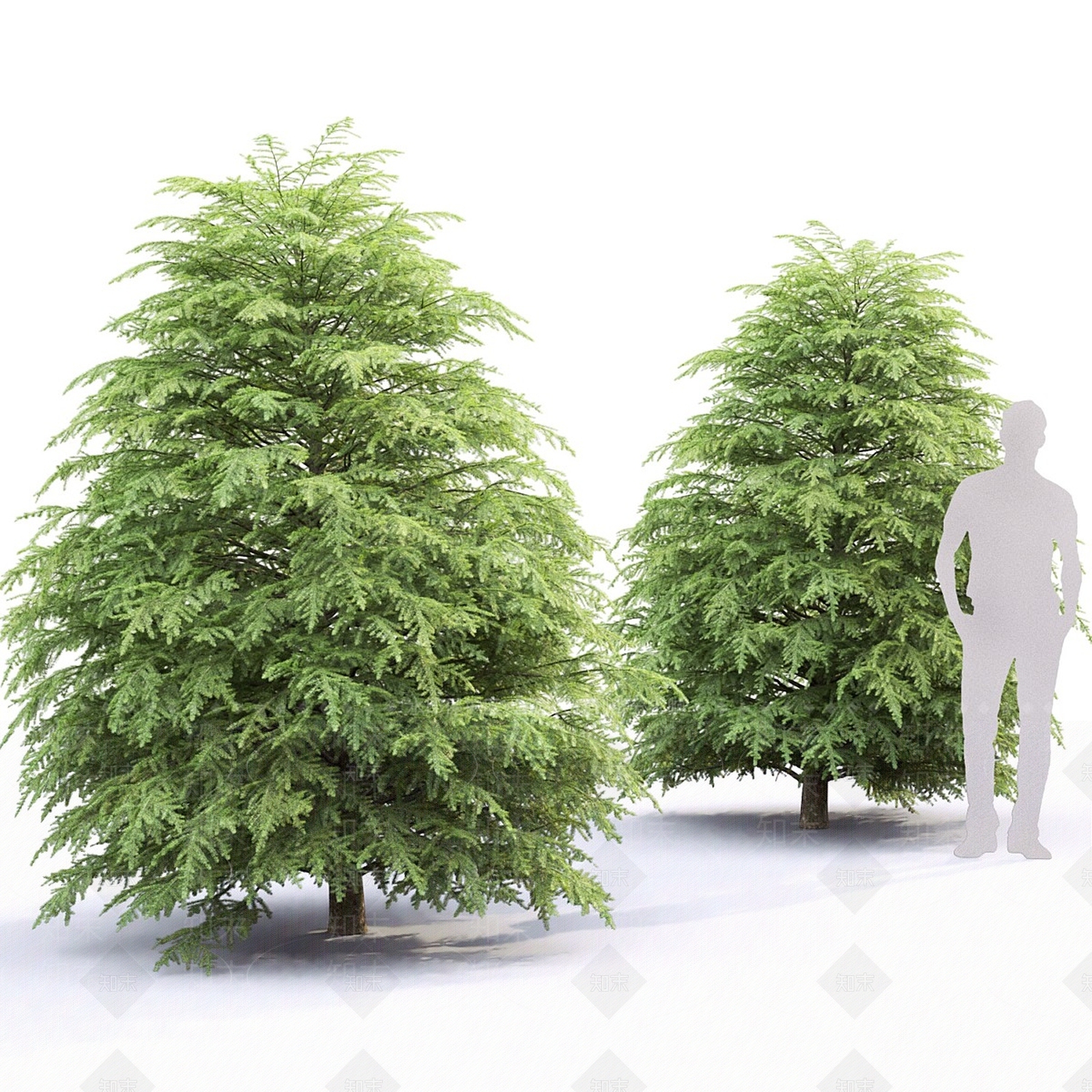其他树木3D模型下载【ID:1167764027】
