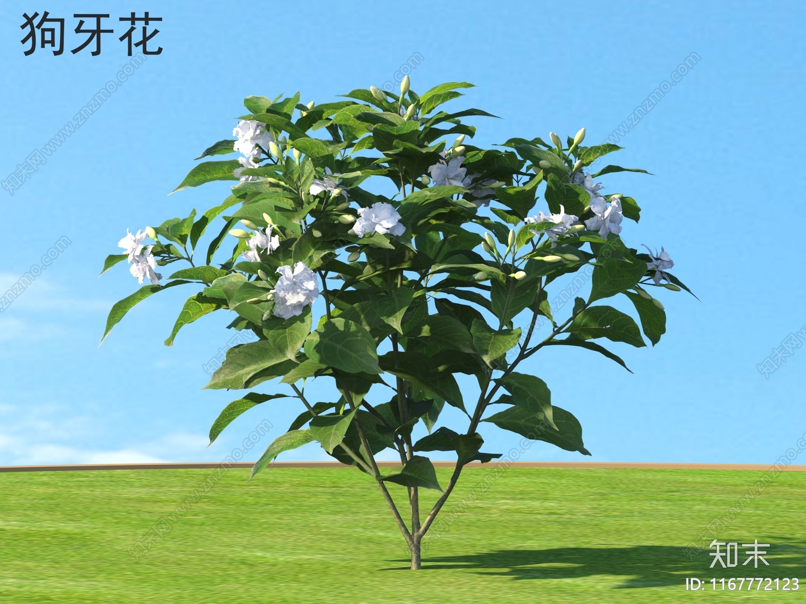 花3D模型下载【ID:1167772123】