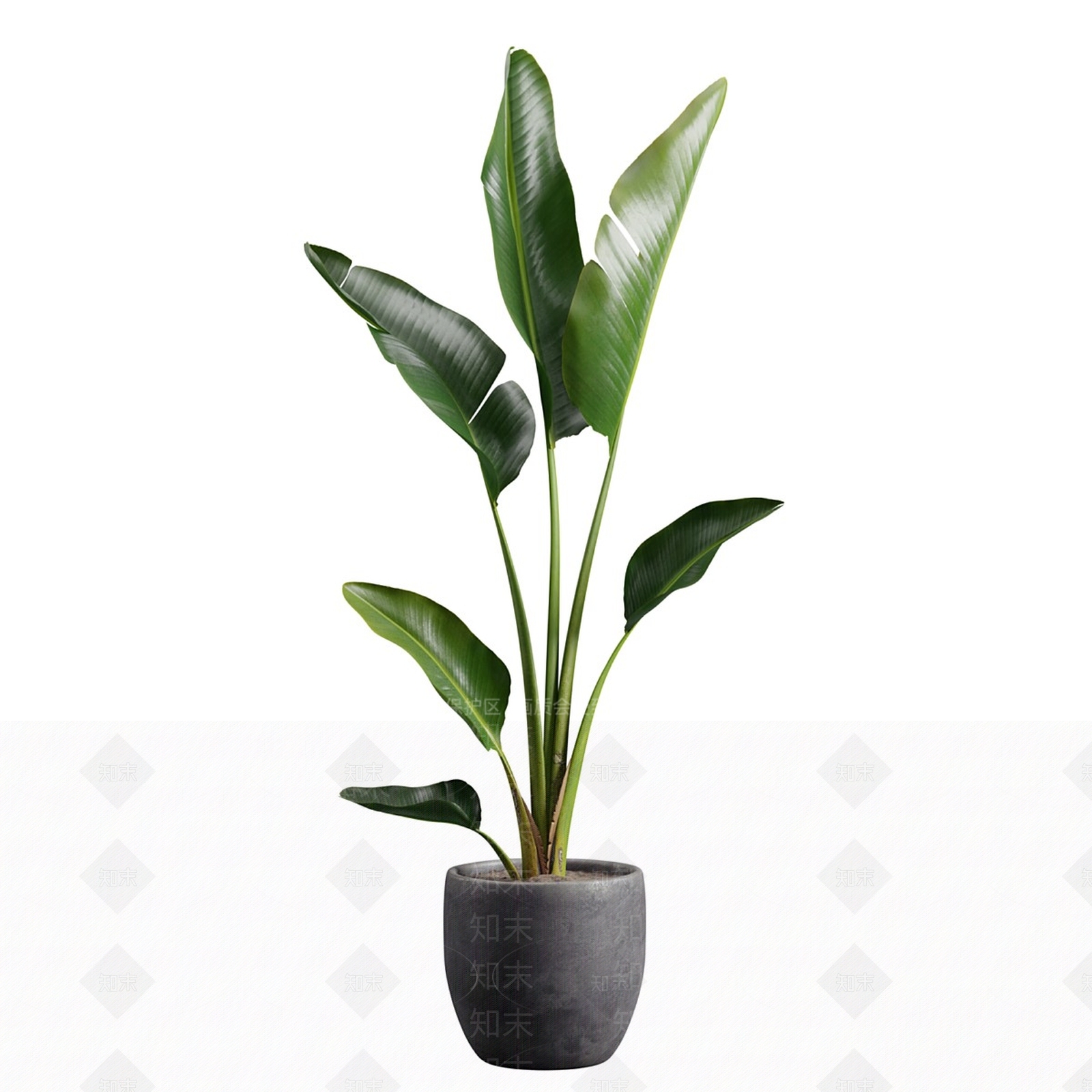 盆栽3D模型下载【ID:1167772329】