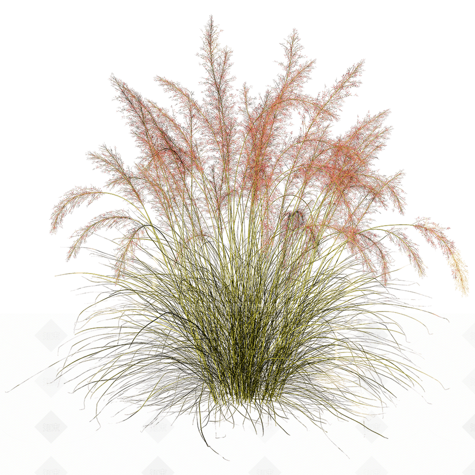 花草组合3D模型下载【ID:1167788654】