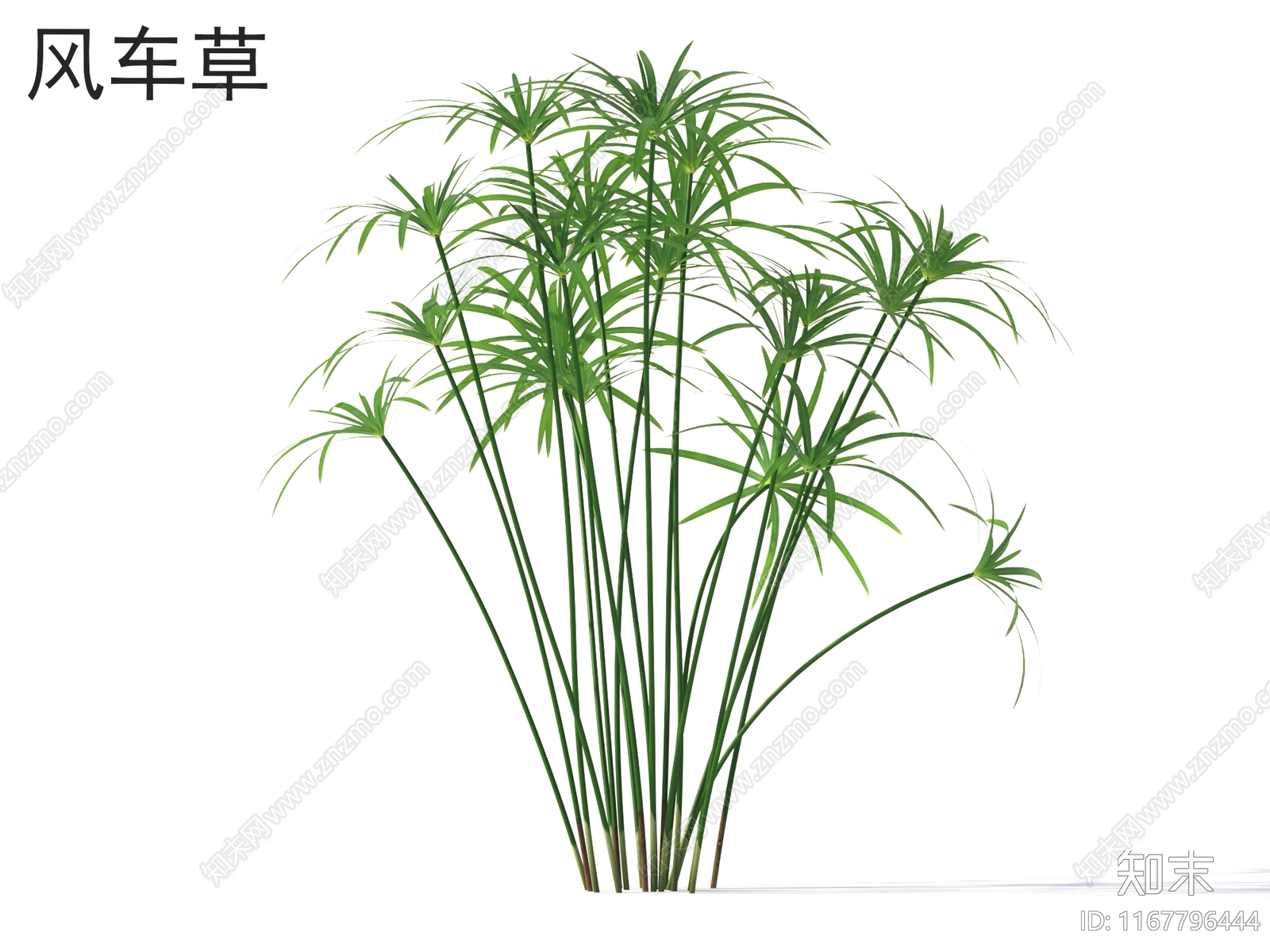 草3D模型下载【ID:1167796444】