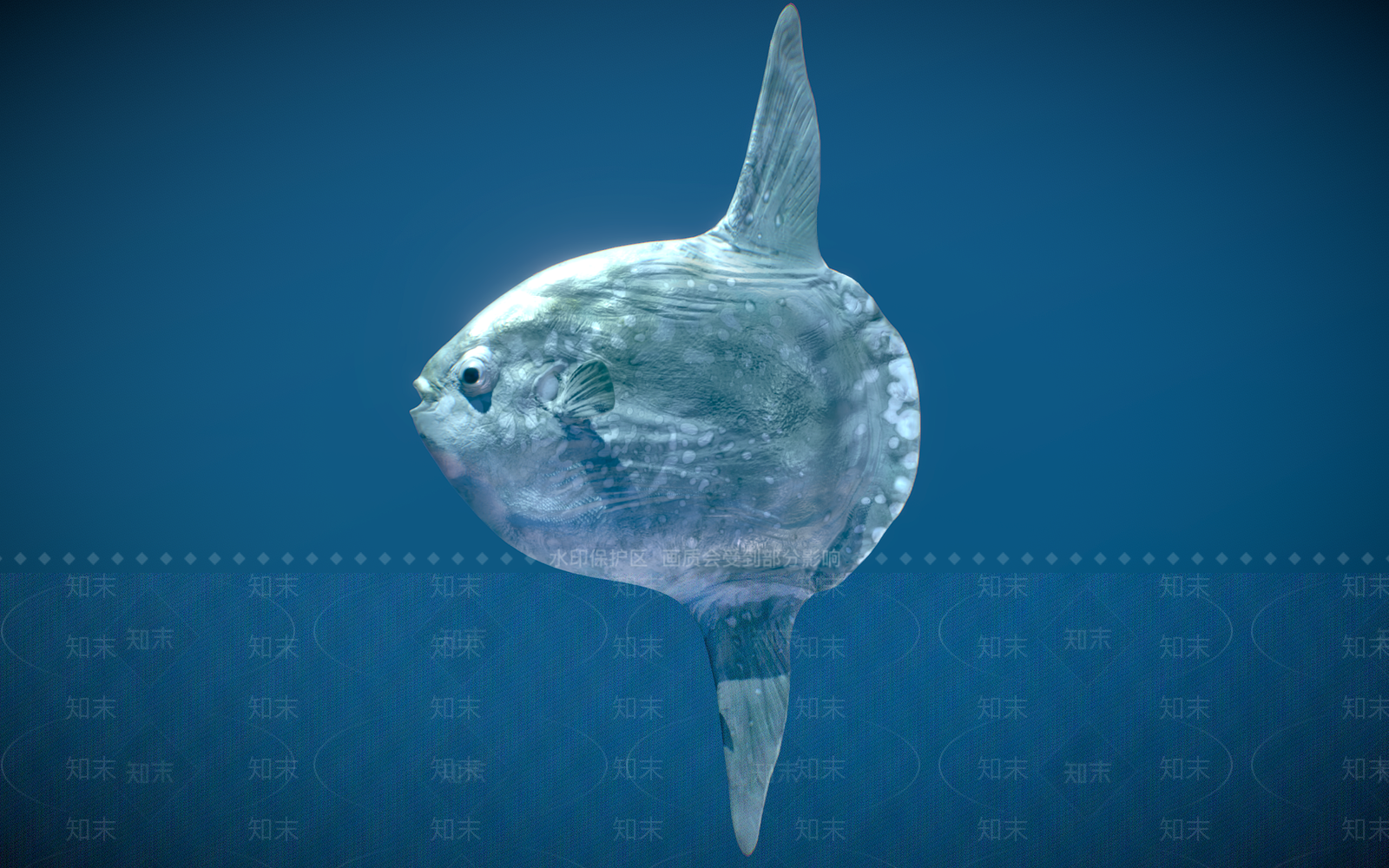 水生类动物3D模型下载【ID:1167887329】
