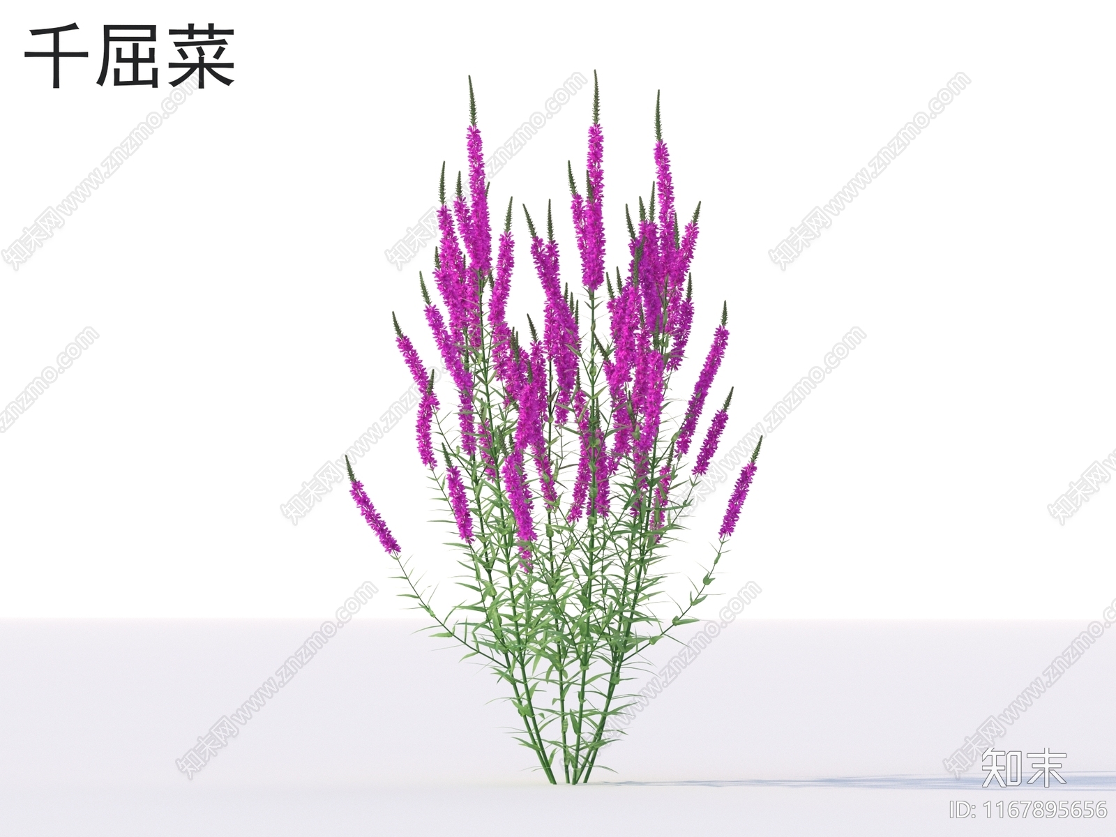 花3D模型下载【ID:1167895656】