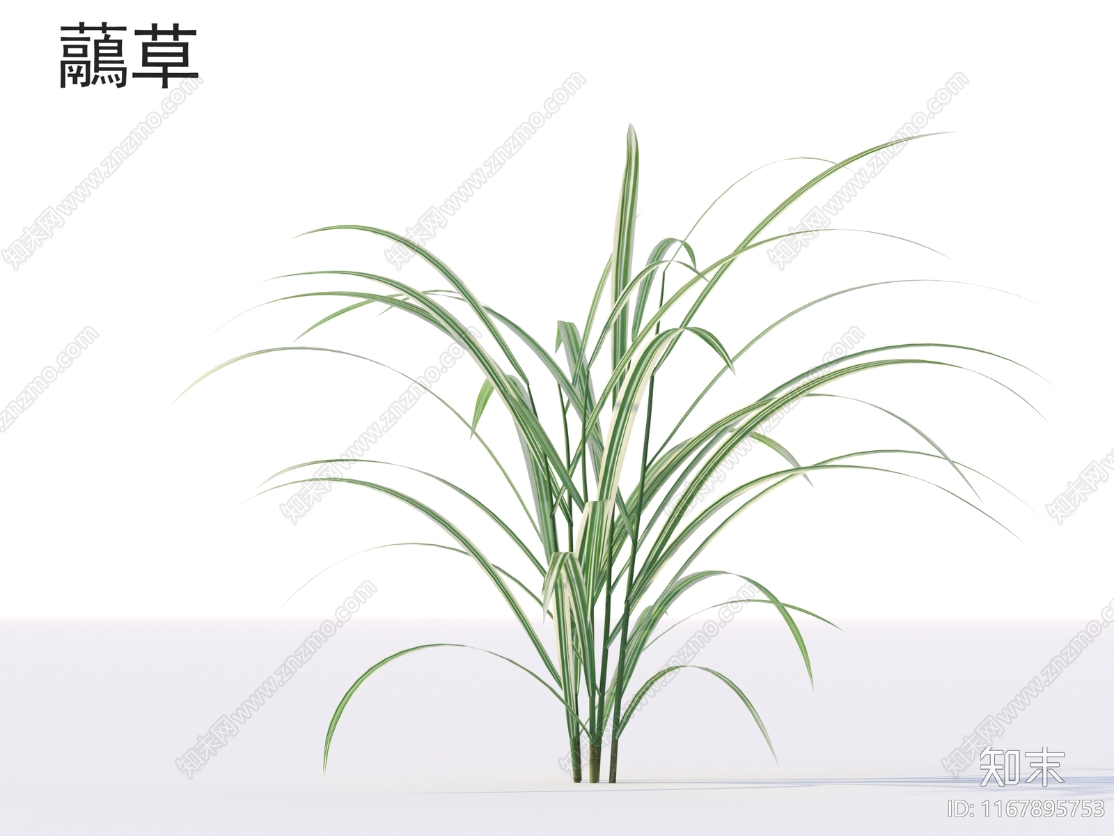 草3D模型下载【ID:1167895753】