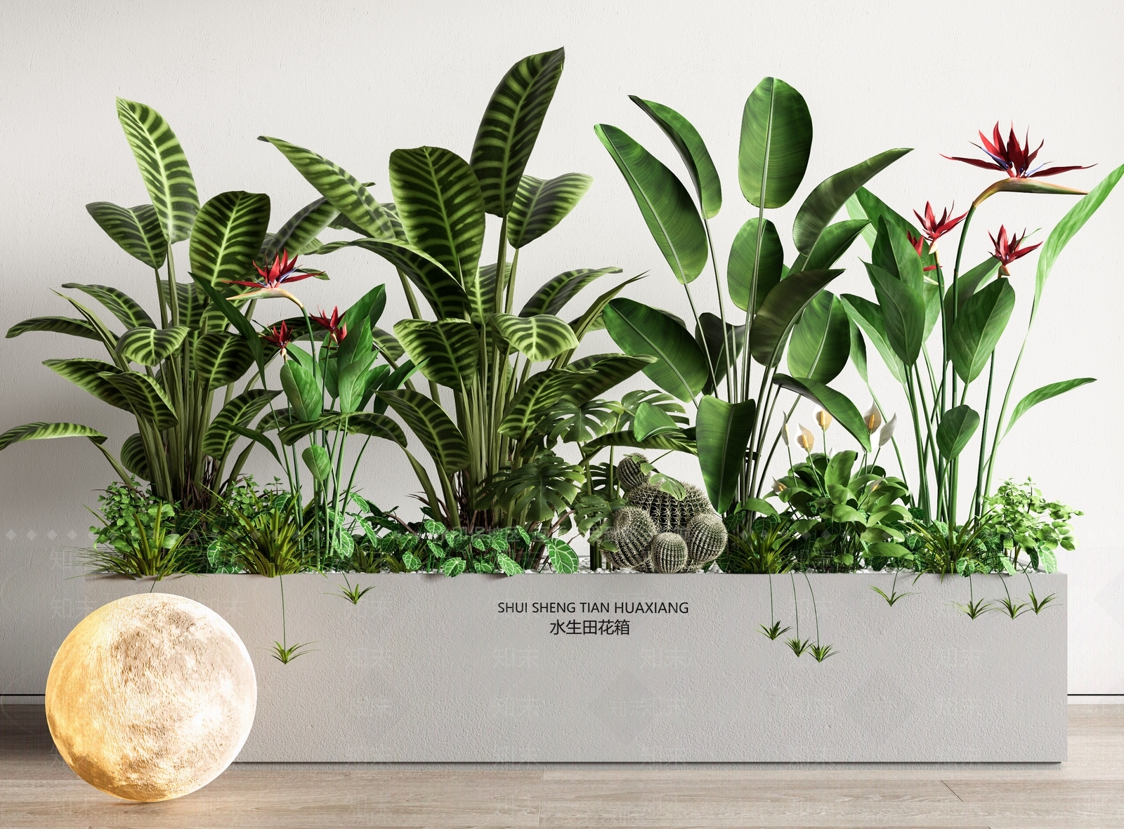植物组合SU模型下载【ID:1167947808】