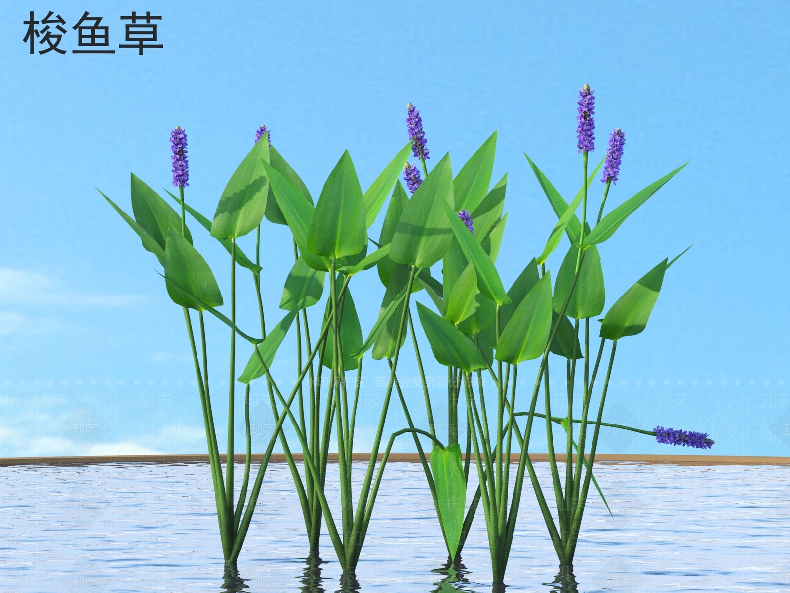 草3D模型下载【ID:1167981239】
