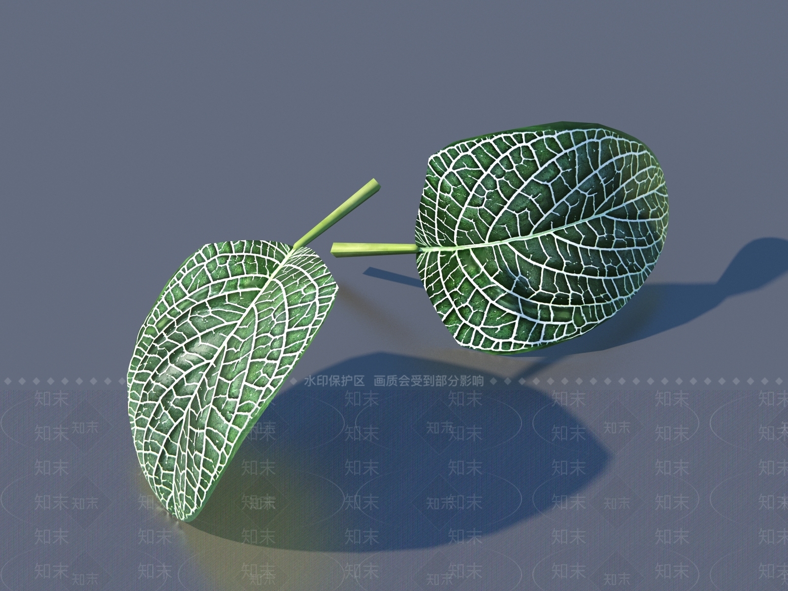 其他绿植3D模型下载【ID:1168034870】