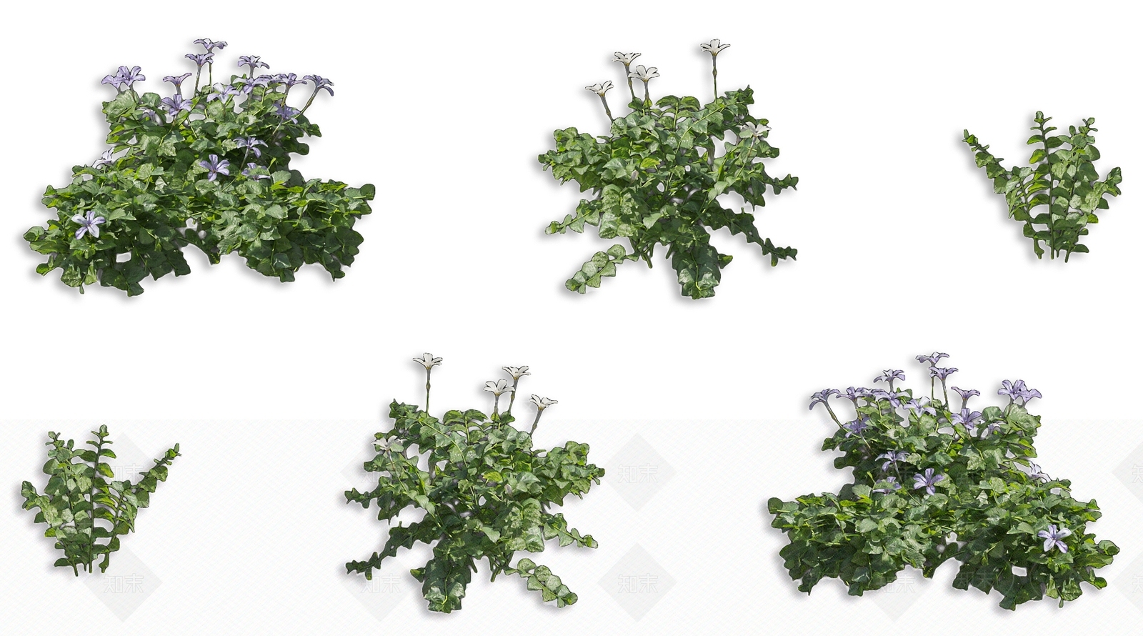 花草组合3D模型下载【ID:1168058610】