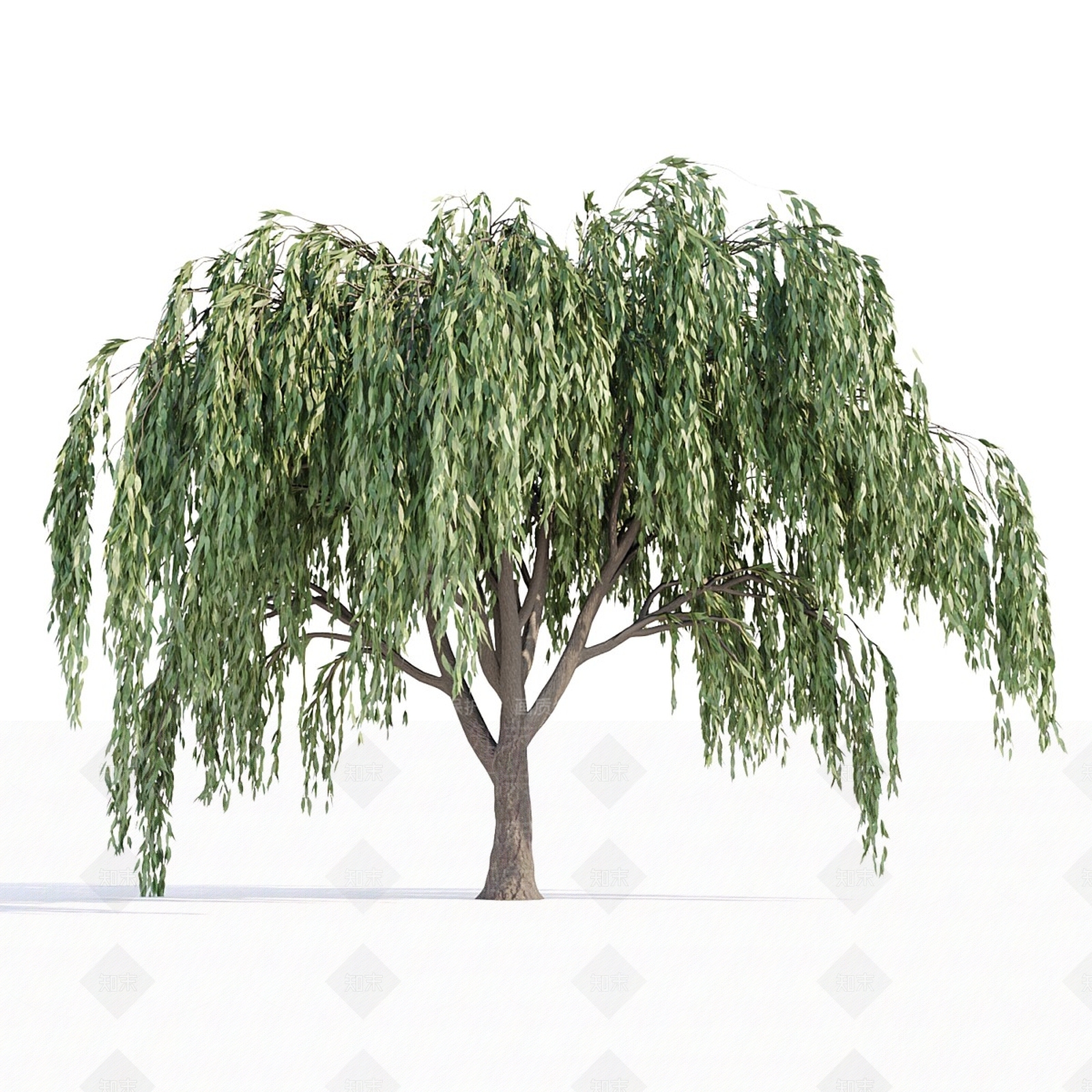 其他树木3D模型下载【ID:1168060853】