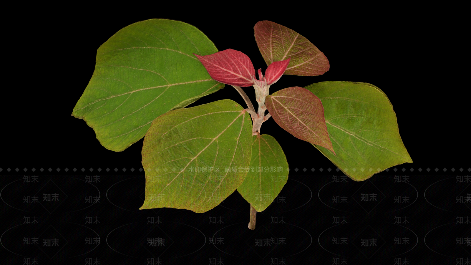 其他树木3D模型下载【ID:1168081845】