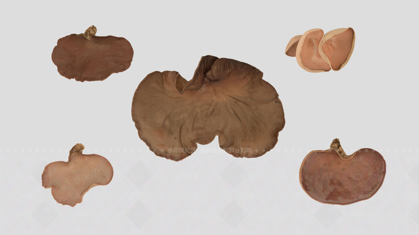 农作物3D模型下载【ID:1168129559】