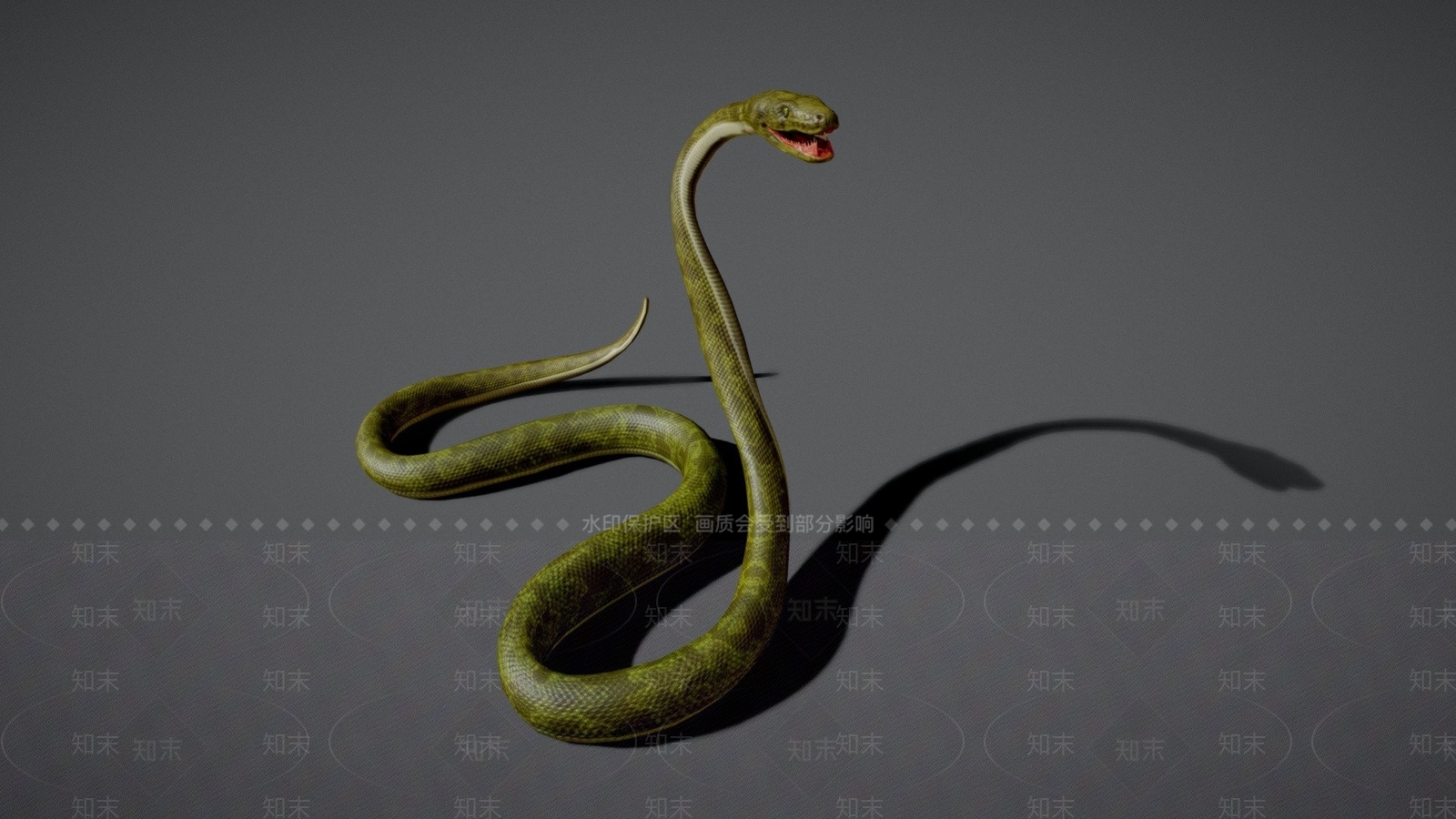 爬行类动物3D模型下载【ID:1168229468】