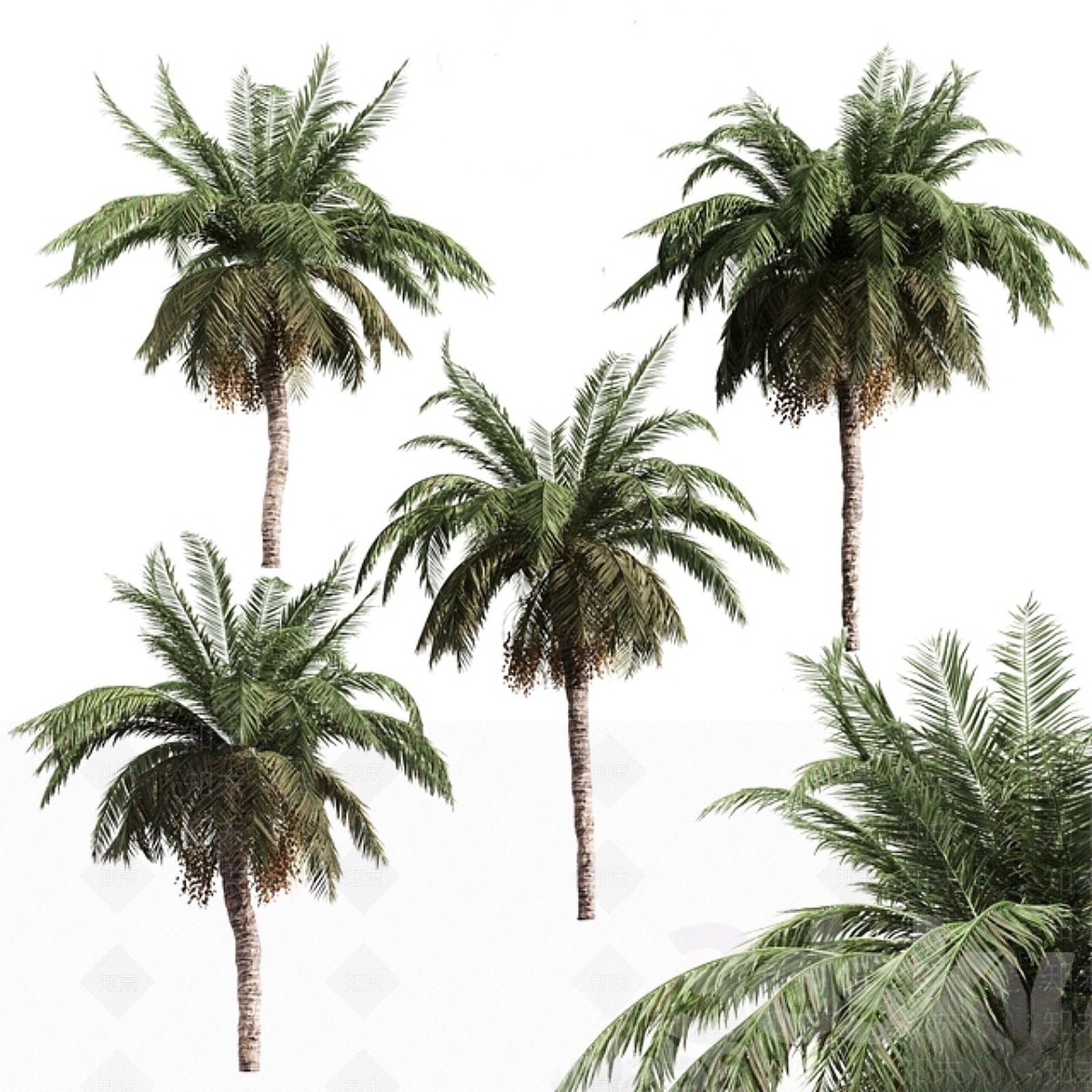 其他树木3D模型下载【ID:1168231658】