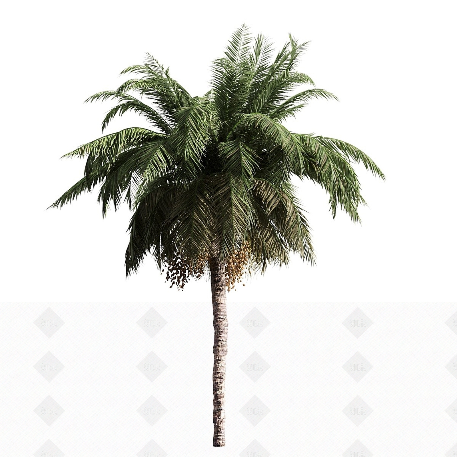 其他树木3D模型下载【ID:1168231658】
