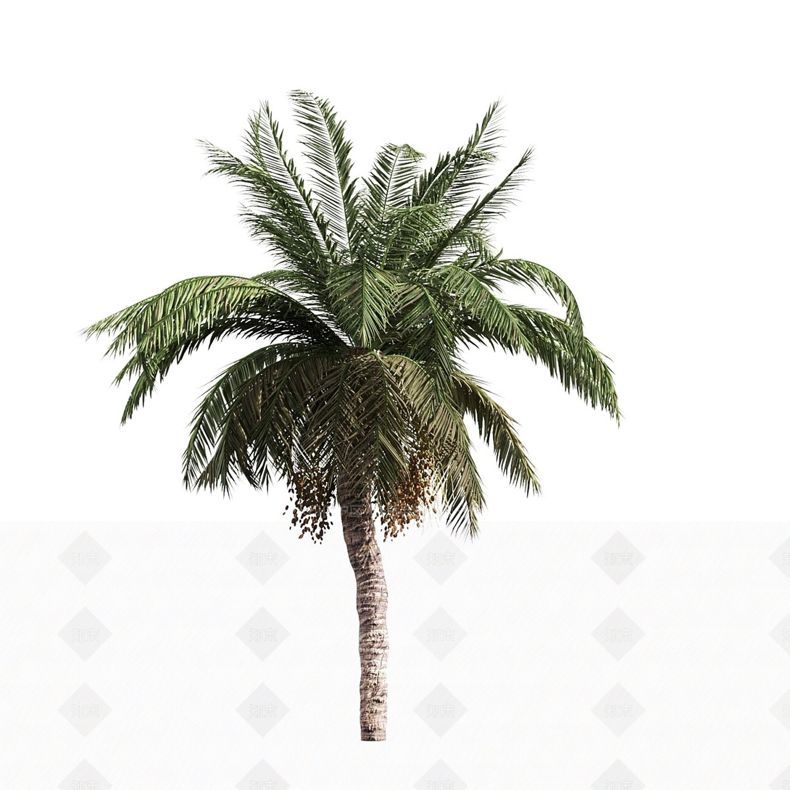 其他树木3D模型下载【ID:1168231658】