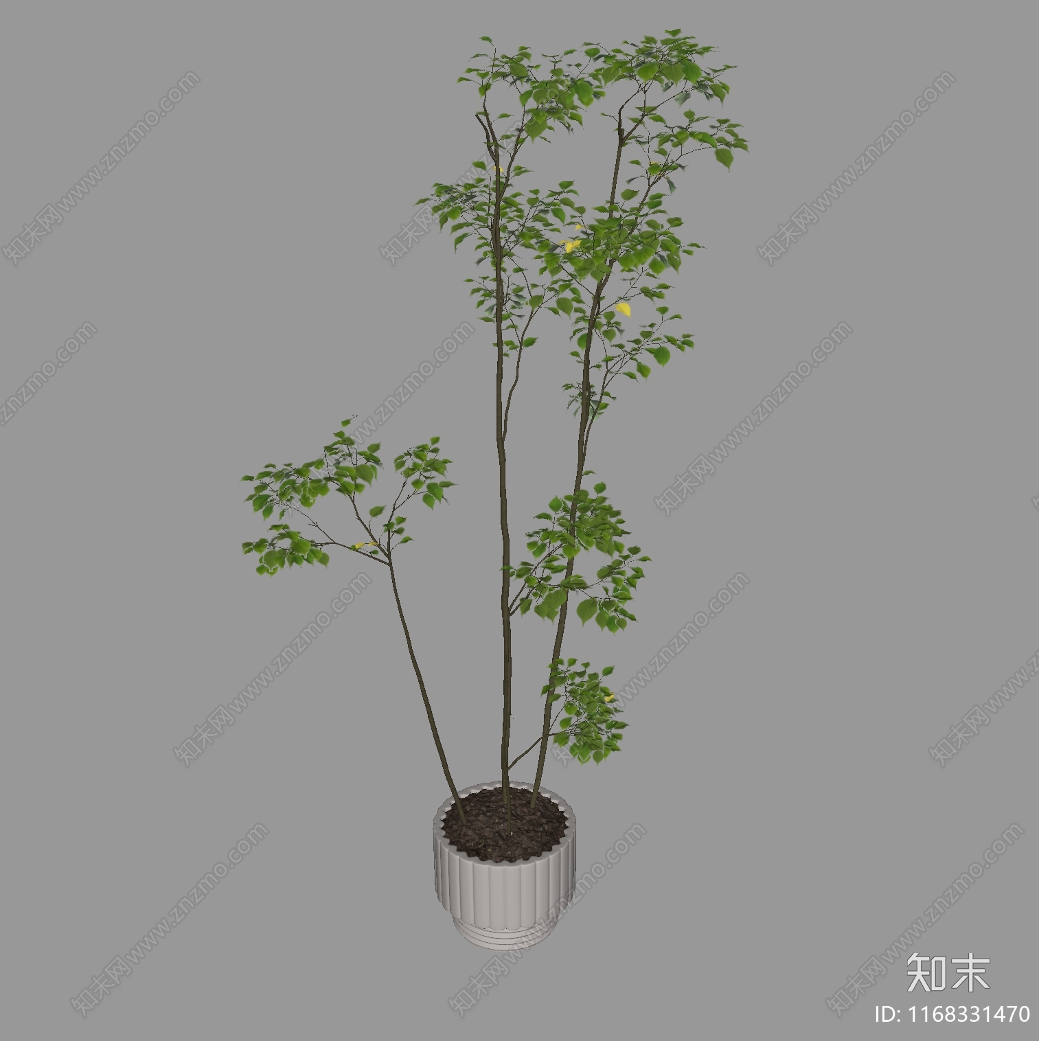 盆栽SU模型下载【ID:1168331470】