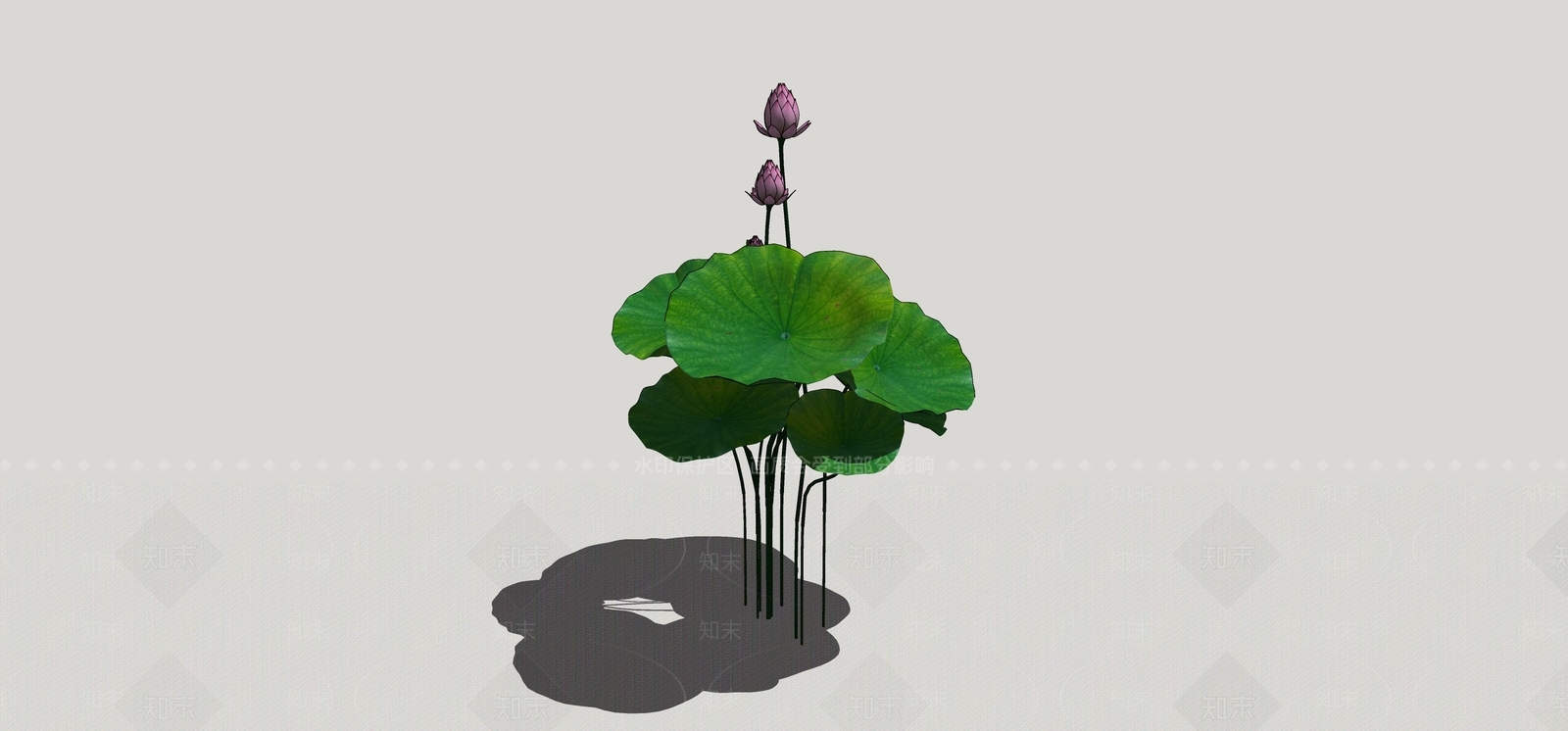 水生植物SU模型下载【ID:1168447096】