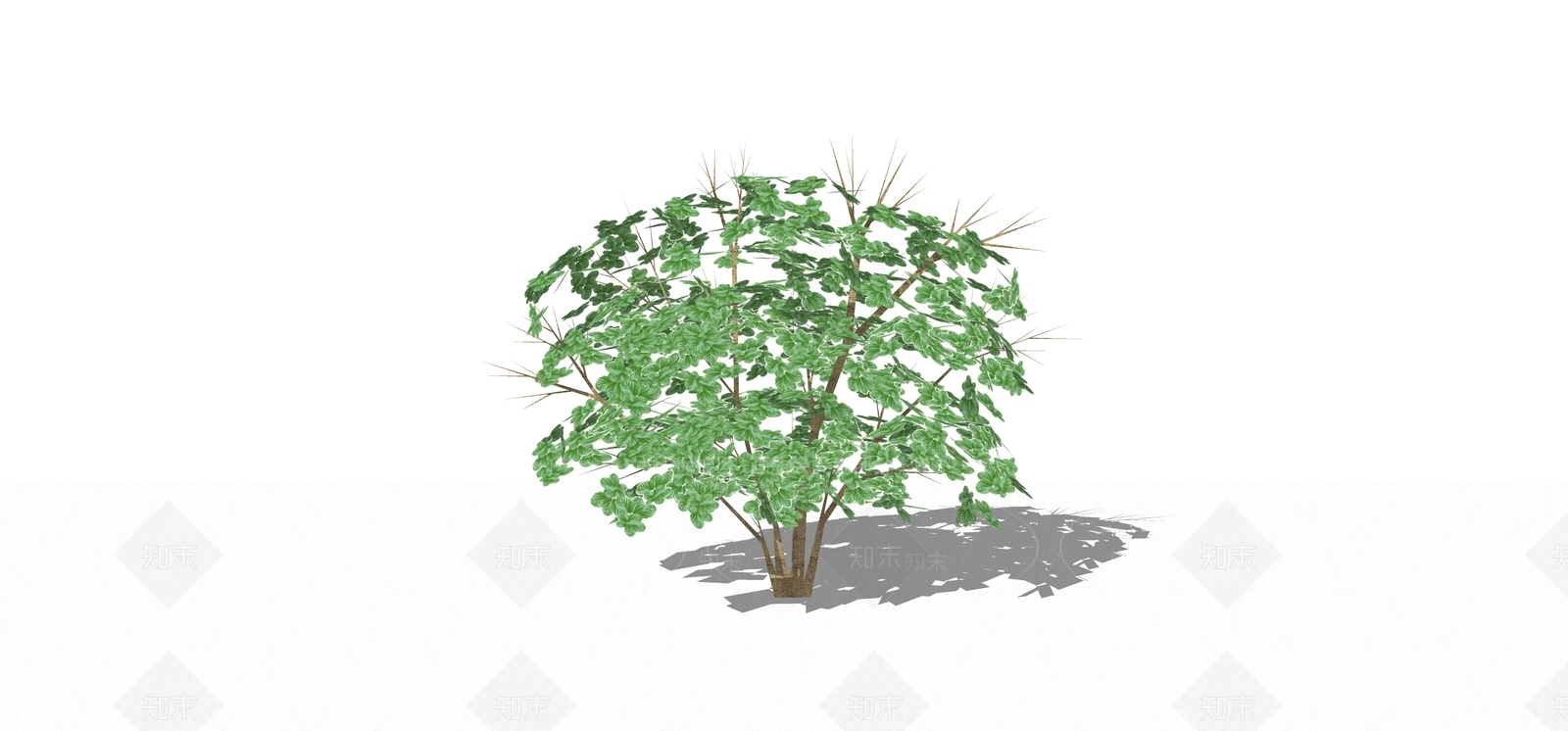 灌木SU模型下载【ID:1168467028】