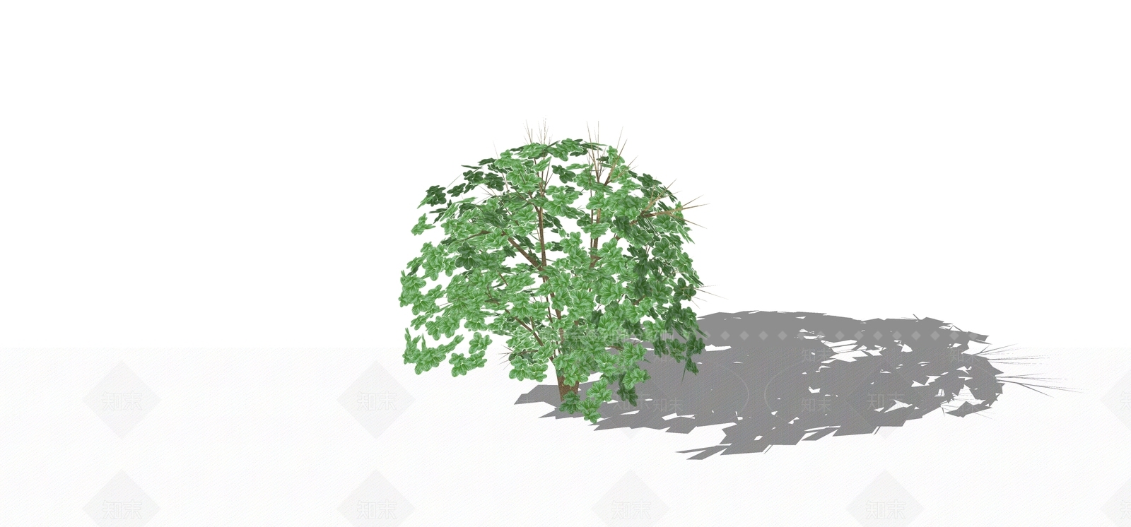 灌木SU模型下载【ID:1168467028】